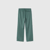 Carhartt WIP Benford Pant - Silver Pine / Ink - Back
