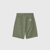 Carhartt WIP Landon Short - Park Garment Dyed - Back