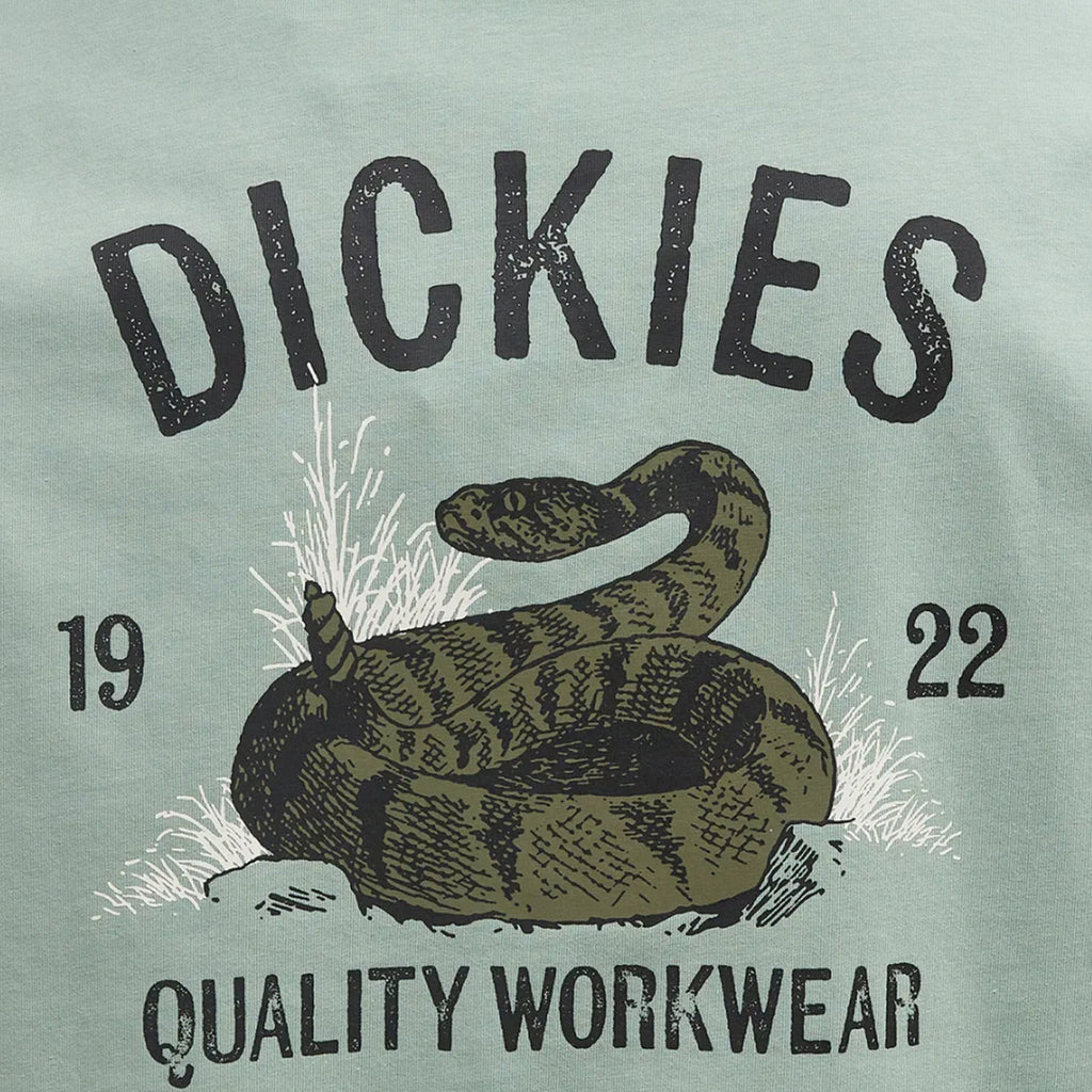 Dickies Snake SS Tee - Iceburg Green - Back