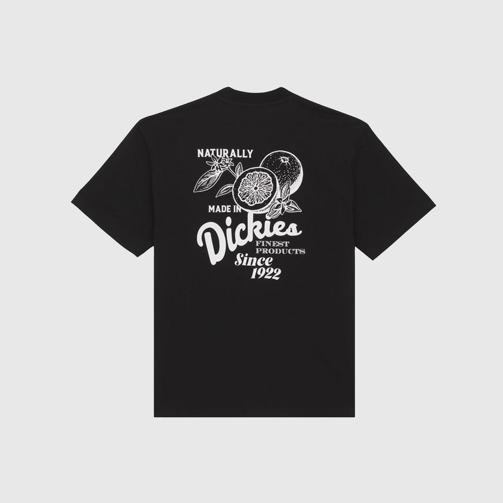 Dickies Raven Tee - Black - Back