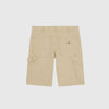 Dickies Duck Carpenter Shorts - Dessert Sand - Back