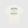 Dickies Elliston Tee - Cloud - Back