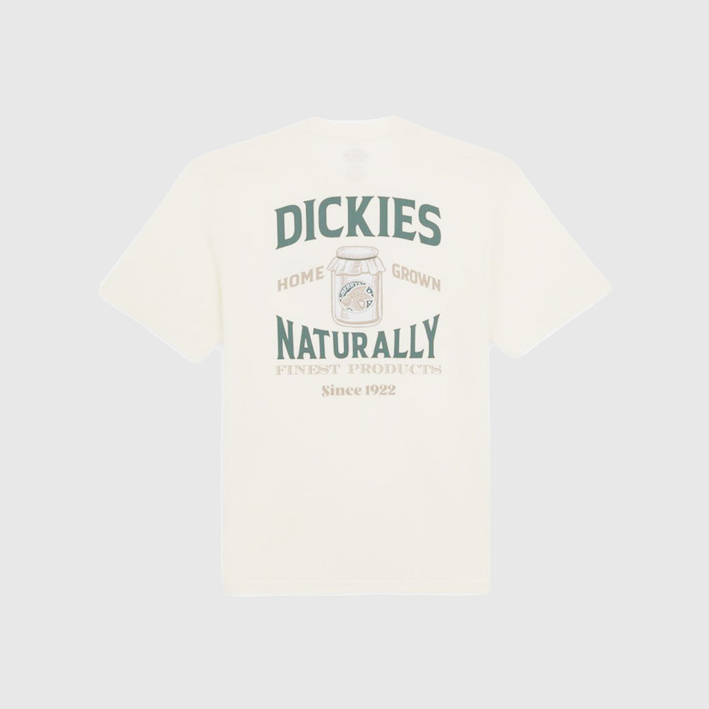 Dickies Elliston Tee - Cloud - Back