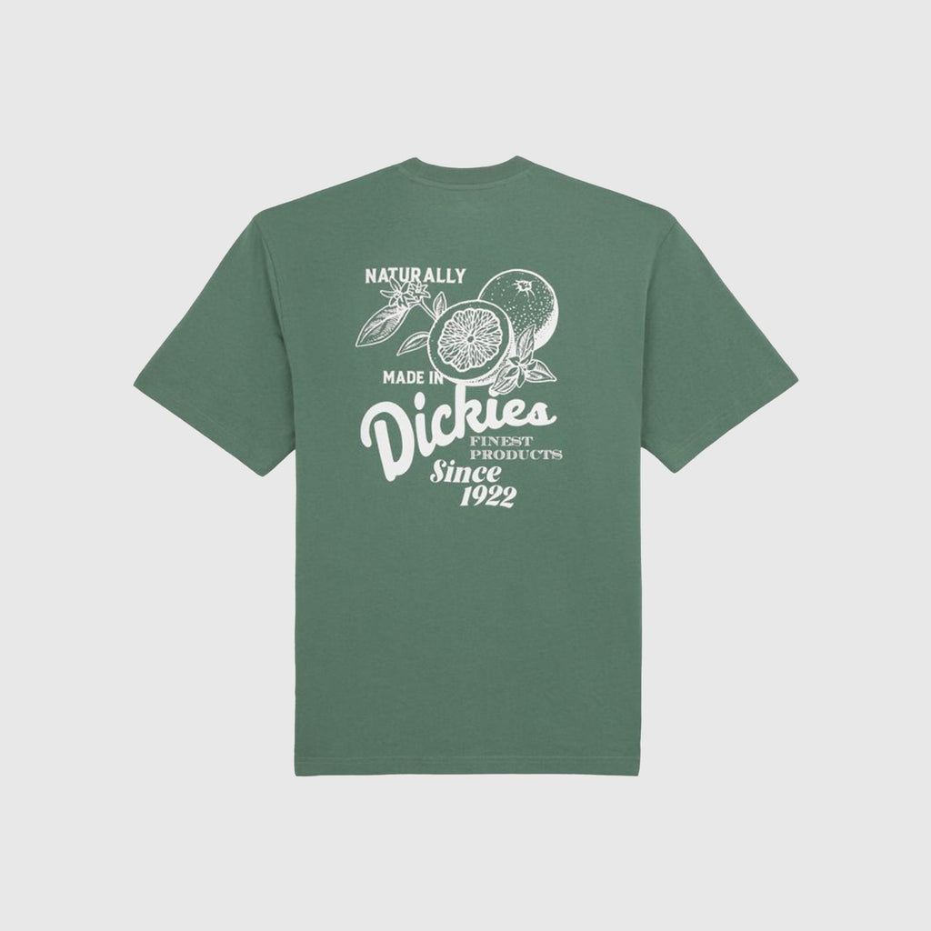 Dickies Raven Tee - Dark Forest - Back