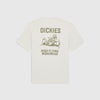 Dickies High Flying Workwear Tee - Cloud - Back