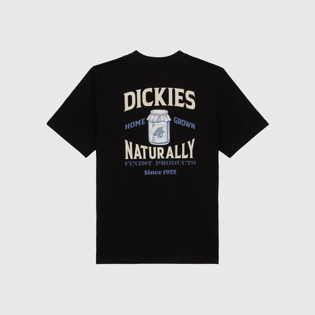 Dickies Elliston Tee - Black - Back