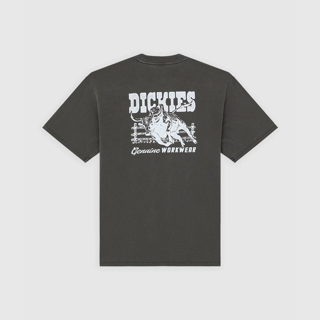 Dickies Buchtell SS Tee - Black - Back