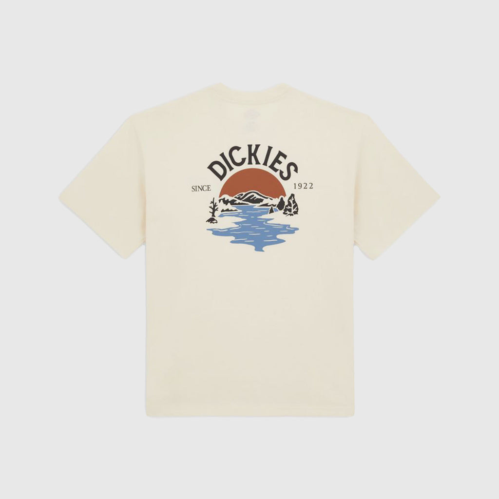 Dickies Beach Tee - Whitecap Gray - Back