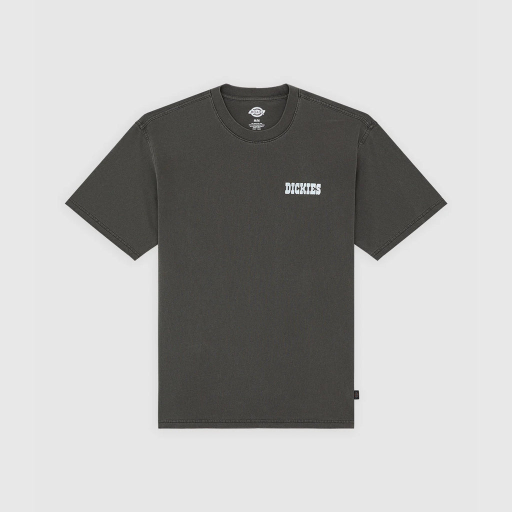 Dickies Buchtell SS Tee - Black - Front