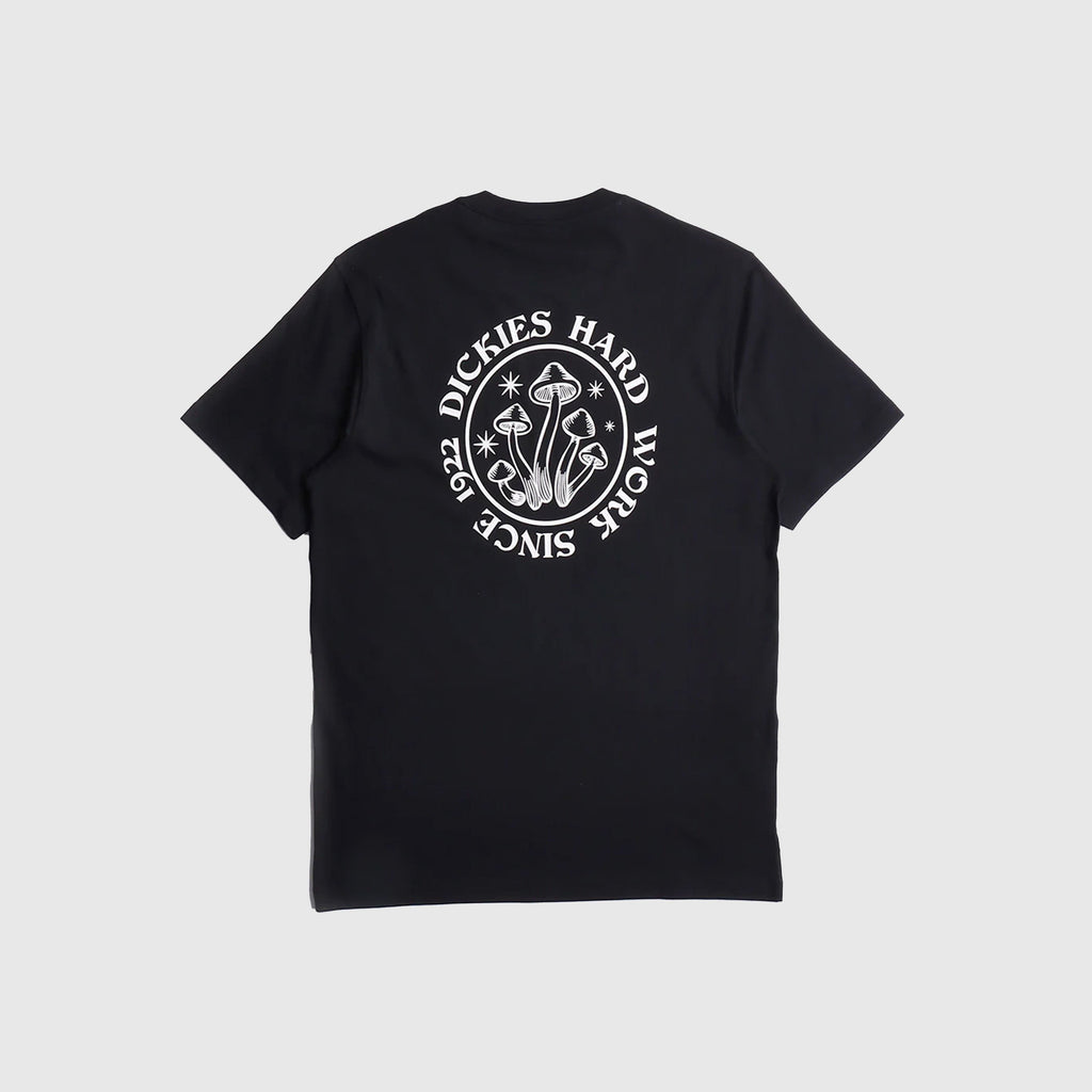 Dickies Bayside Tee - Black - Back