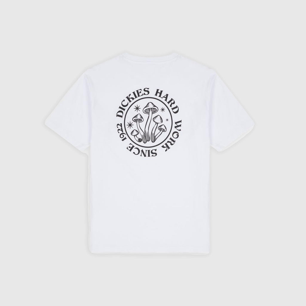 Dickies Bayside Tee - White - Back