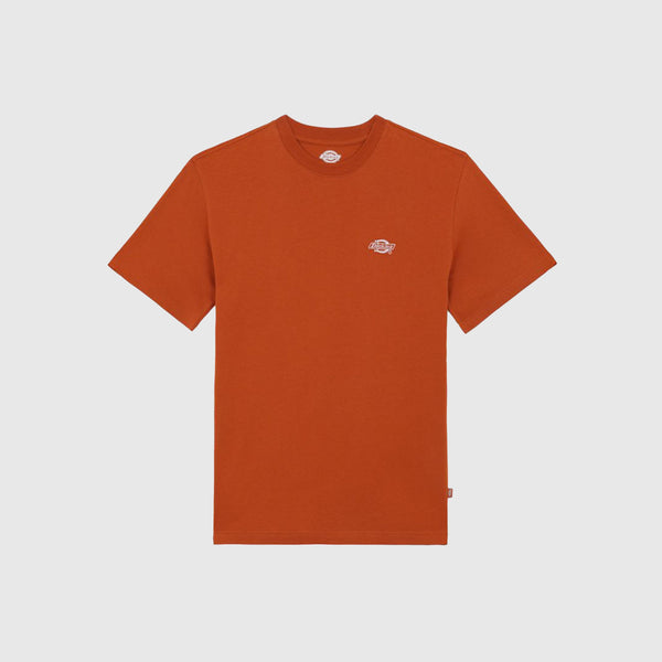 Dickies Summerdale Tee - Bombay Brown - Front