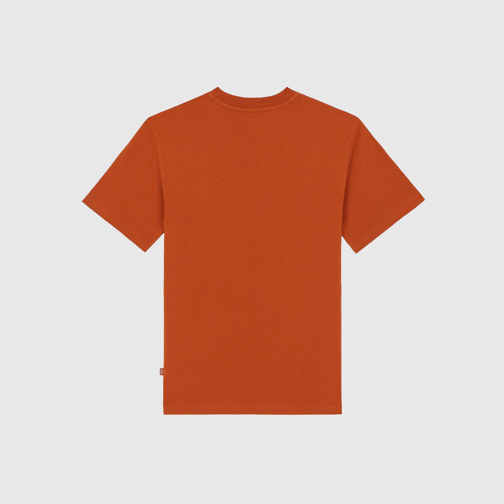 Dickies Summerdale Tee - Bombay Brown - Back