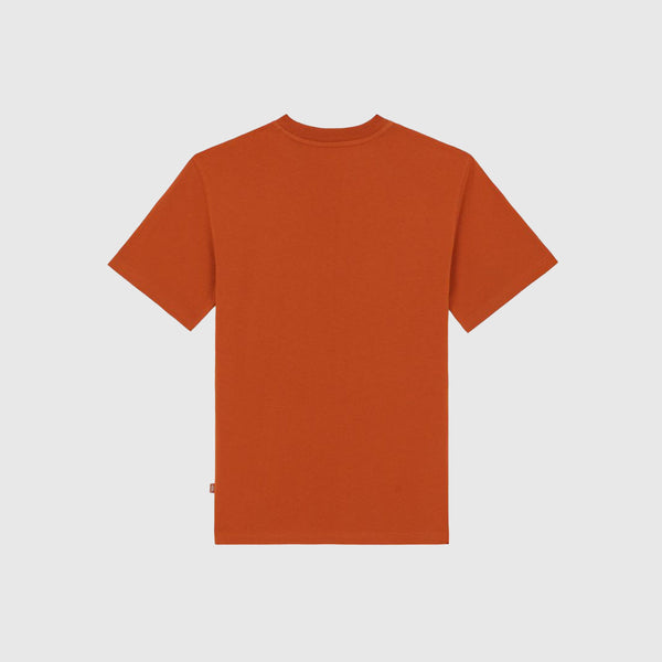 Dickies Summerdale Tee - Bombay Brown - Back