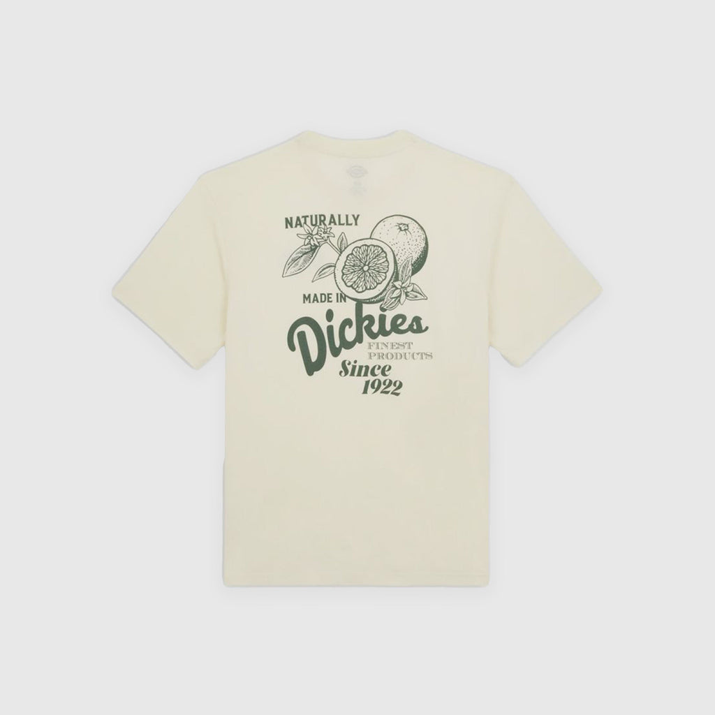 Dickies Raven Tee - Cloud - Back