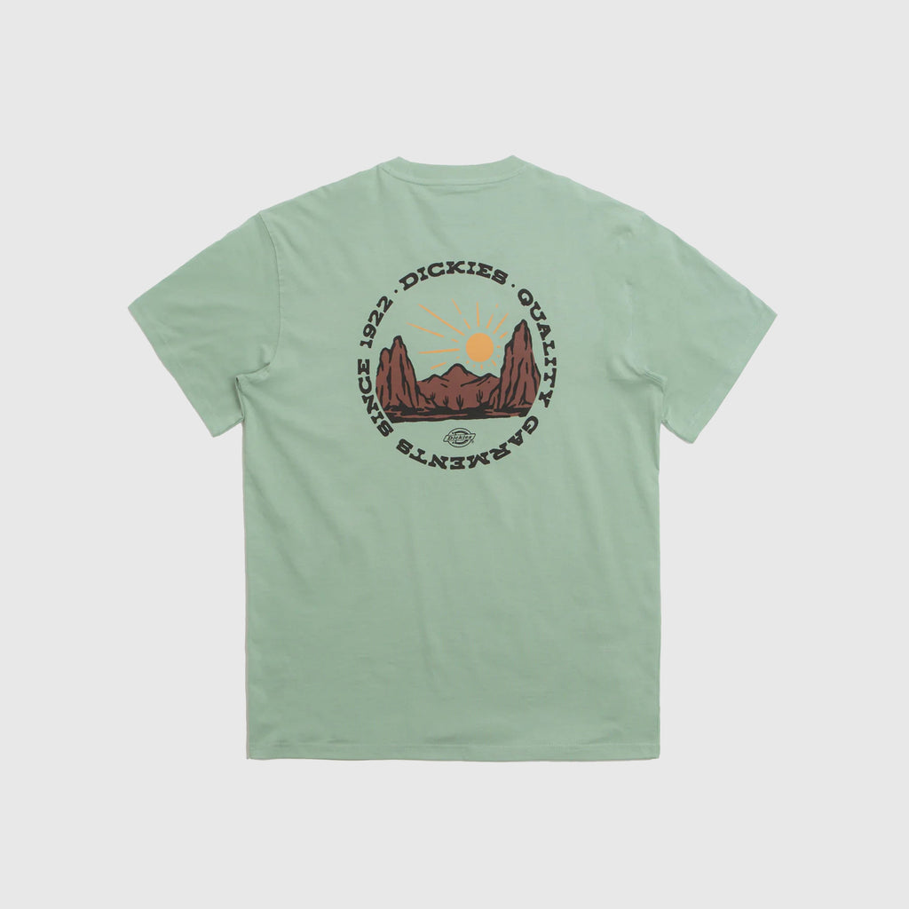Dickies Outdoor SS Tee - Iceberg Green - Back