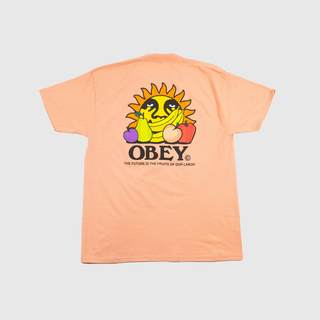Obey The Future Is The Fruits Of Our Labor Tee - Citrus - Back