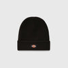 Dickies Gibsland Beanie - Black - Front