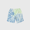 Dickies Seatac Short - Celadon Green - Back