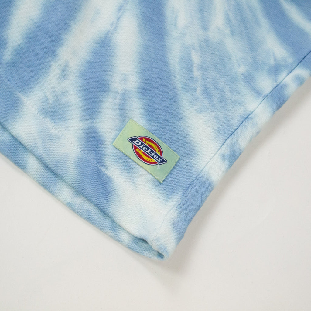 Dickies Seatac Short - Celadon Green - Close Up