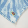 Dickies Seatac Short - Celadon Green - Close Up
