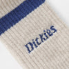  Dickies Bettles Sock - Ecru Logo Close Up