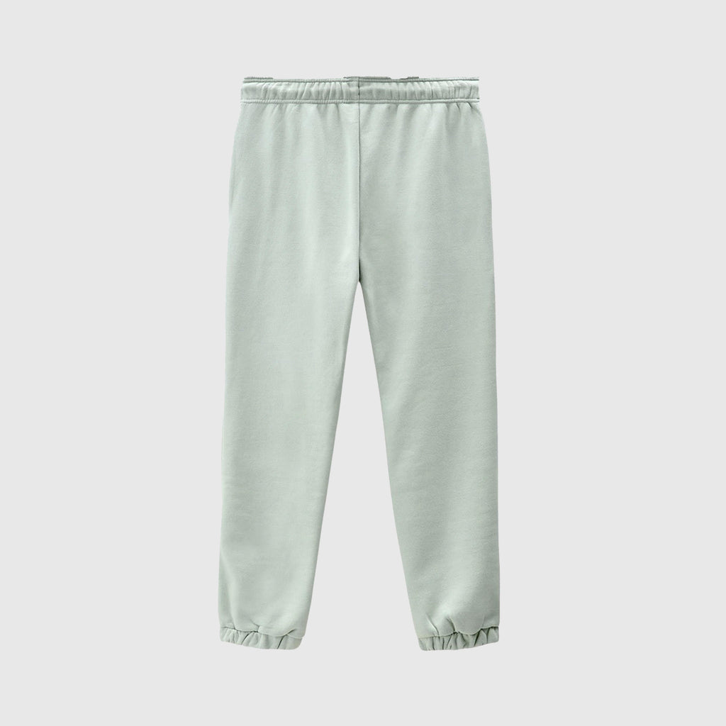 Dickies Mapleton Sweatpant - Jadeite Back 