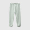 Dickies Mapleton Sweatpant - Jadeite Back 