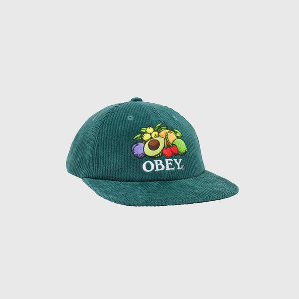 Obey Fruits 6 Panel Snapback - Dark Cedar - Front