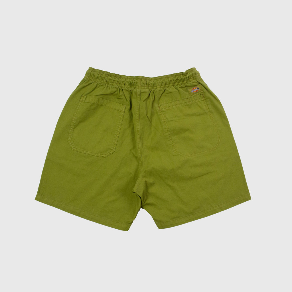 Dickies Pelican Rapids - Green Moss - Back